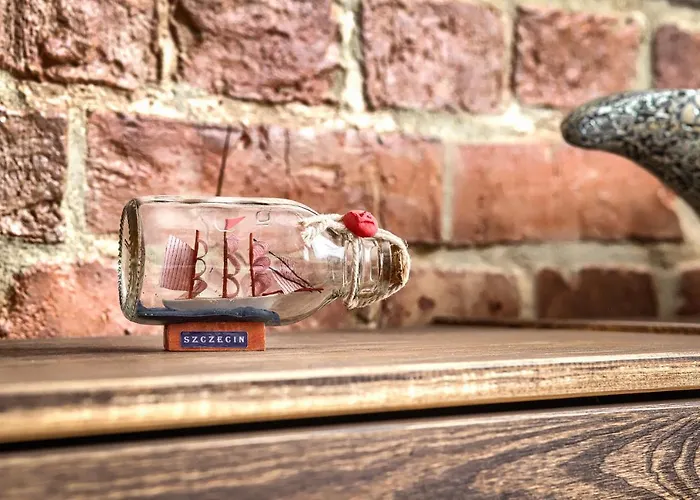 Margi Absynth Large & Comfy שצ'צ'ין